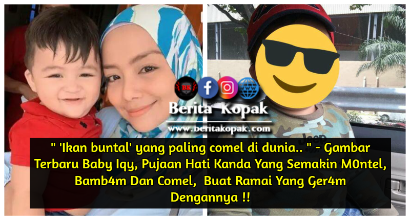 Ikan buntal' yang paling comel di dunia 